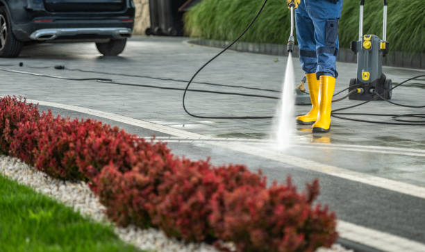 Trusted Nicholls, GA Pressure Washing Services Experts